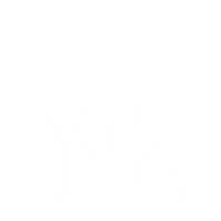 Steam